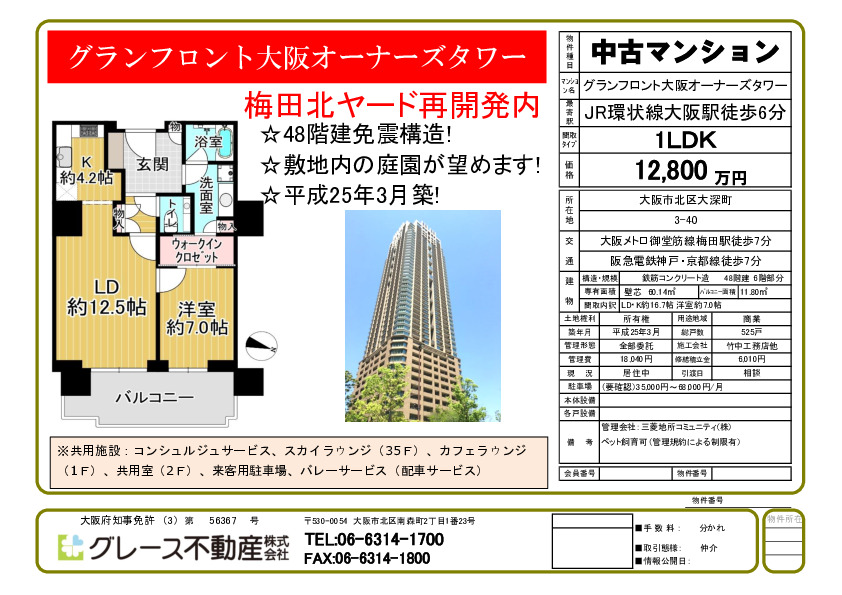 今月の速報物件です。