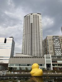 ザ・タワー大阪